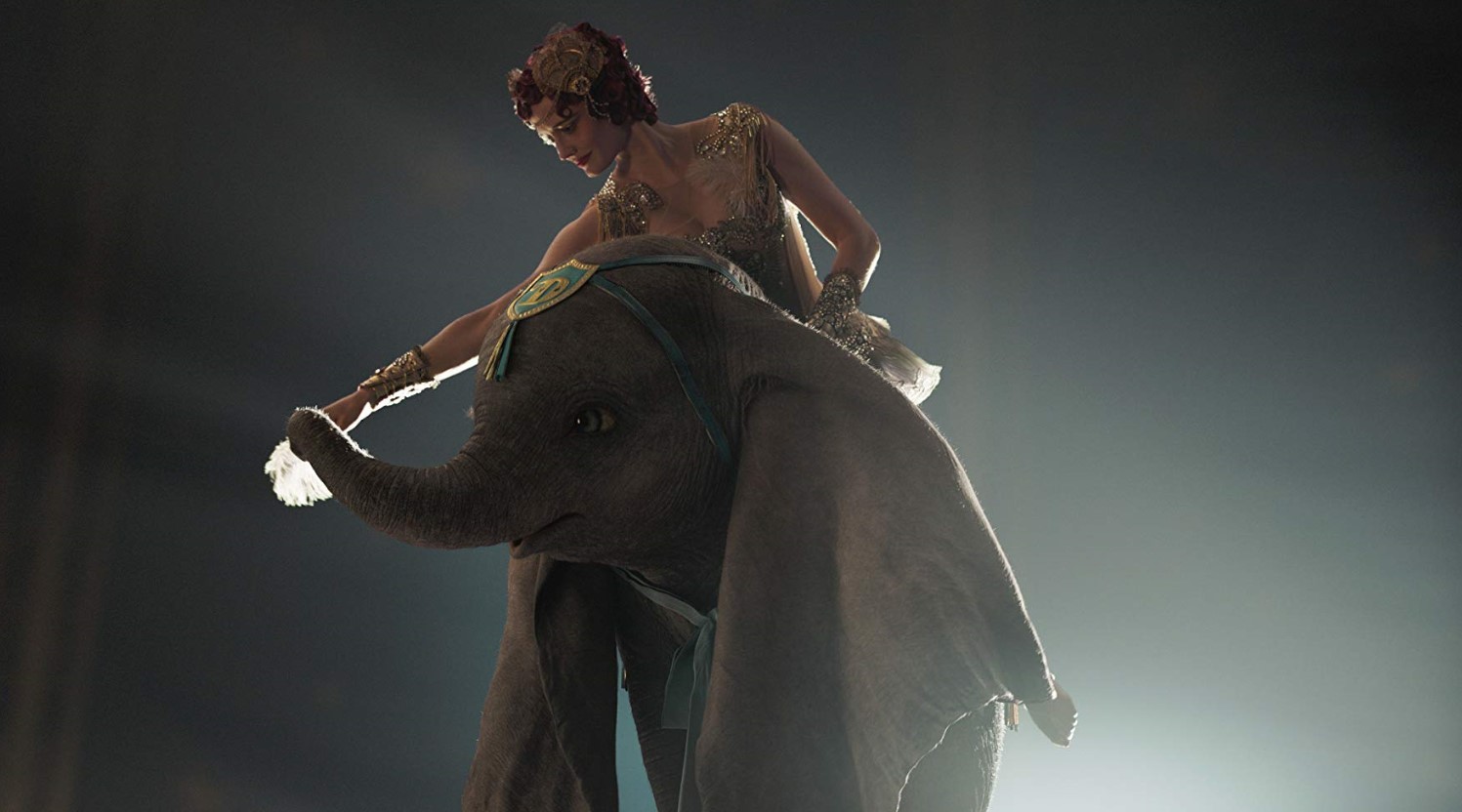 Dumbo Dumbo