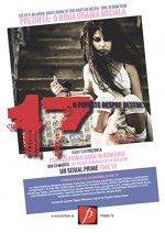 17 - O Poveste Despre Destin (2008) afişi