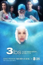 3 Lbs. (2006) afişi