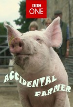 Accidental Farmer (2010) afişi