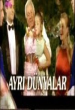 Ayrı Dünyalar (1995) afişi