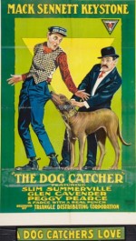 A Dog Catcher's Love (1917) afişi