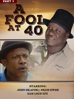 A Fool At 40 (2006) afişi