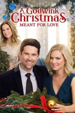 A Godwink Christmas: Meant for Love (2019) afişi