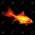 A Goldfish Of The Flame (2010) afişi