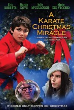 A Karate Christmas Miracle (2019) afişi