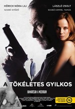 A tökéletes gyilkos (2017) afişi