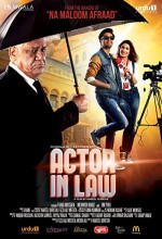 Actor in Law (2016) afişi