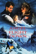 Angel Flight Down (1996) afişi