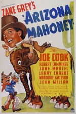 Arizona Mahoney (1936) afişi