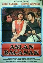 Aslan Bacanak (1977) afişi