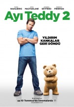 ayi-teddy-2-1435649353.jpg