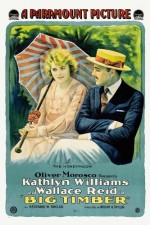 Big Timber (1917) afişi