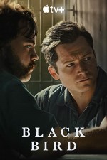 Black Bird (2022) afişi
