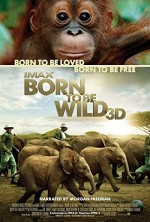 Born To Be Wild (2011) afişi