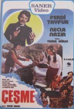 Çeşme (1976) afişi