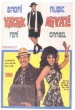 Cımbız Ali  Yırtık Niyazi (1971) afişi