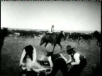 Calf Branding (1898) afişi