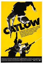 Catlow (1971) afişi