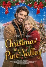 Christmas in Pine Valley (2021) afişi