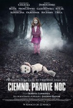 Ciemno, prawie noc (2019) afişi