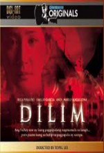 Dilim (2005) afişi