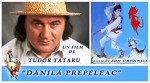 Danila Prepeleac (1996) afişi