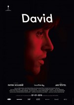 David (2015) afişi