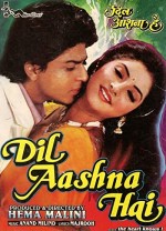 Dil Aashna Hai (1992) afişi