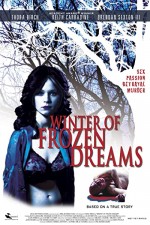 Düşlerin Donduğu Kış (2009) afişi