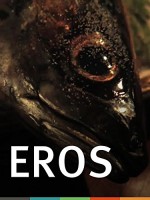 Eros (2009) afişi