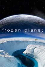 Frozen Planet (2011) afişi