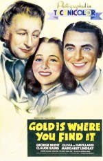 Gold ıs Where You Find ıt (1938) afişi