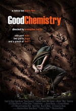 Good Chemistry (2008) afişi