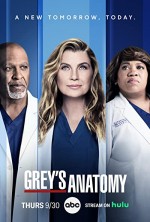 Grey's Anatomy (2005) afişi