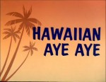 Hawaiian Aye Aye (1964) afişi
