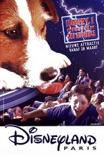 Honey, ı Shrunk The Audience (1994) afişi