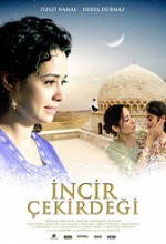 İncir Çekirdeği (2009) afişi İncir Çekirdeği (2009) afişi