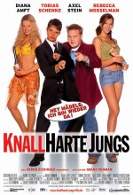 Knallharte Jungs (2002) afişi