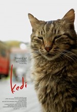 Kedi (2016) afişi