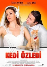 Kedi Özledi (2013) afişi