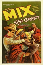 King Cowboy (1928) afişi