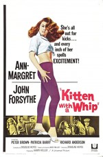 Kitten With A Whip (1964) afişi