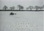 Kørsel Med Grønlandske Hunde (1897) afişi