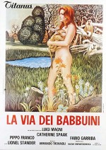 La Via Dei Babbuini (1974) afişi
