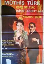 Müthiş Türk (1970) afişi
