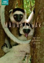 Madagaskar (2011) afişi Madagaskar (2011) afişi