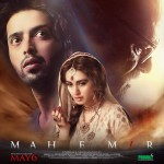 Mah e Mir (2016) afişi Mah e Mir (2016) afişi