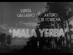 Mala Yerba (1940) afişi