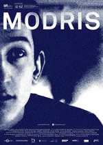 Modris (2014) afişi